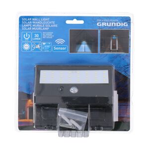 Grundig Grundig - LED Solární svítidlo se senzorem 1xLED/0,25W/1xAA
