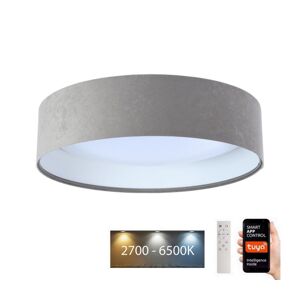 LED Stropní svítidlo SMART GALAXY LED/24W/230V Wi-Fi Tuya šedá/bílá + DO
